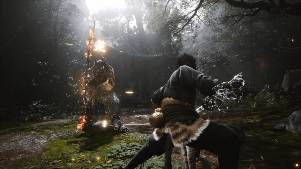 Игра Black Myth: Wukong Deluxe Edition [PS5, русские субтитры] в Ростове-на-Дону