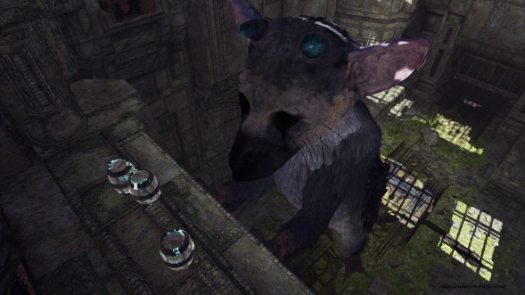 The Last Guardian: Последний хранитель [PS4, русские субтитры] в Ростове-на-Дону