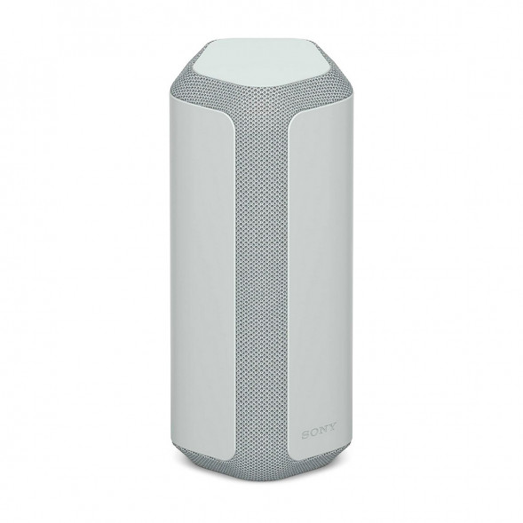 Портативная колонка Sony SRS-XE300, Light Gray в Ростове-на-Дону