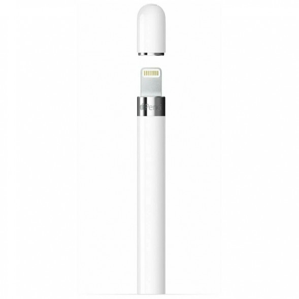 Стилус Apple Pencil (1-го поколения) с USB-C to Apple Pencil адаптером (MQLY3) в Ростове-на-Дону