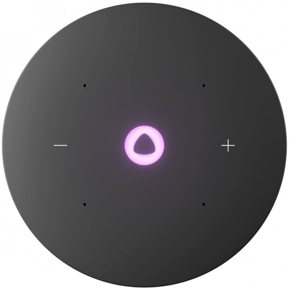 Умная колонка Яндекс Станция Мини 3 Про с Алисой с Zigbee, серый в Ростове-на-Дону