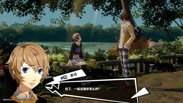 Persona 5 Royal [Nintendo Switch, английская версия] в Ростове-на-Дону