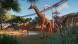 Игра Planet Zoo: Console Edition [PS5, английская версия] в Ростове-на-Дону