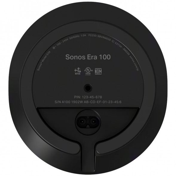 Умная колонка Sonos Era 100, черный в Ростове-на-Дону