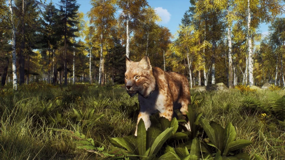 Игра Way of the Hunter: Wild Expeditions [PS5, русские субтитры] в Ростове-на-Дону