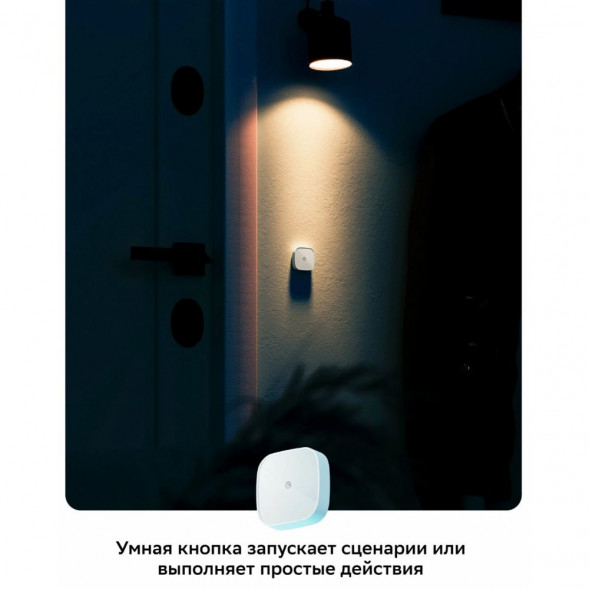 Умная кнопка Sber SBDV-00032 в Ростове-на-Дону