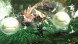 Игра Monster Hunter Generations Ultimate [Nintendo Switch, английская версия] в Ростове-на-Дону