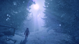 Игра Skabma: Snowfall [Nintendo Switch, русские субтитры]