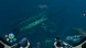 Игра Subnautica: Below Zero [PS5, русские субтитры] в Ростове-на-Дону