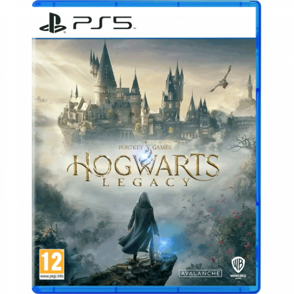 Игра Hogwarts Legacy Standard Edition для PlayStation 5 в Ростове-на-Дону