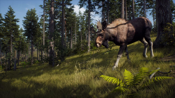 Игра Way of the Hunter [PS5, русские субтитры] в Ростове-на-Дону