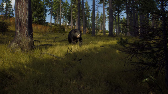 Игра Way of the Hunter [PS5, русские субтитры] в Ростове-на-Дону