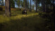 Игра Way of the Hunter [PS5, русские субтитры] в Ростове-на-Дону