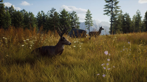 Игра Way of the Hunter [PS5, русские субтитры] в Ростове-на-Дону