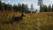 Игра Way of the Hunter [PS5, русские субтитры] в Ростове-на-Дону