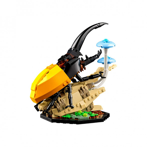 Конструктор LEGO Ideas 21342 Коллекция насекомых в Ростове-на-Дону