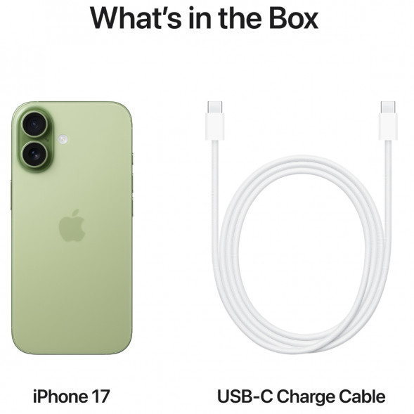 Смартфон Apple iPhone 17 512GB eSim, Sage в Ростове-на-Дону