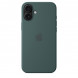 Чехол Apple для iPhone 16 Plus Silicone MagSafe,  Lake Green (MYYH3ZM/A) в Ростове-на-Дону