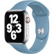 Ремешок для Apple Watch 40mm Northern Blue Sport Band (MYD02ZM/A), скандинавский синий в Ростове-на-Дону