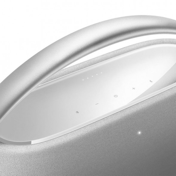 Портативная акустика Harman/Kardon Go + Play 3, серый в Ростове-на-Дону