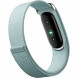 Фитнес-браслет Google Fitbit Air (Серо-голубой/Fog) в Ростове-на-Дону