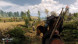 Игра Witcher 3: Wild Hunt (Ведьмак 3: Дикая Охота) Game of the year Edition [PS4, русские субтитры] в Ростове-на-Дону