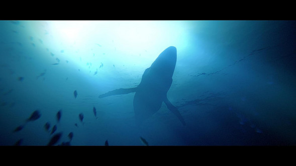 Игра Under The Waves [PS4, русские субтитры] в Ростове-на-Дону