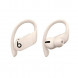 Беспроводные наушники Beats Powerbeats Pro, Ivory (MY5D2ZM/A) в Ростове-на-Дону