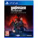 Игра Wolfenstein Youngblood Deluxe Edition [PS4, русская версия] в Ростове-на-Дону