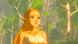 Legend of Zelda: Breath of the Wild [NSwitch, Русская версия] в Ростове-на-Дону