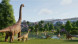Игра Jurassic World: Evolution 3 [PS5, английская версия] в Ростове-на-Дону