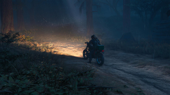 Игра Жизнь После (Days Gone) [PS4, русская версия] в Ростове-на-Дону