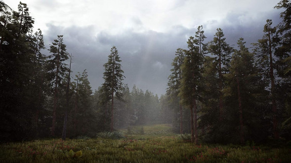 Игра Hunting Simulator 2 [PS5, английская версия] в Ростове-на-Дону