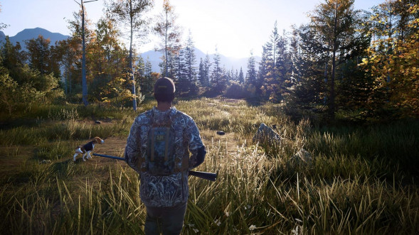 Игра Hunting Simulator 2 [PS5, английская версия] в Ростове-на-Дону