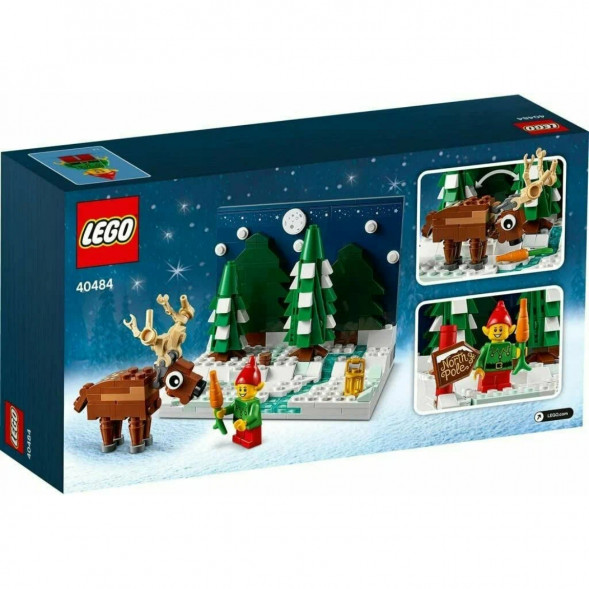 Конструктор LEGO 40484 Перед домом Деда Мороза в Ростове-на-Дону